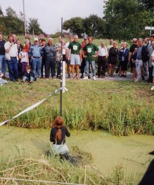 Springerin teilweise unter Wasser