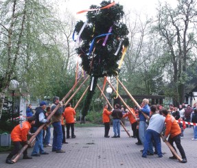 Manneskraft gegen Maibaum